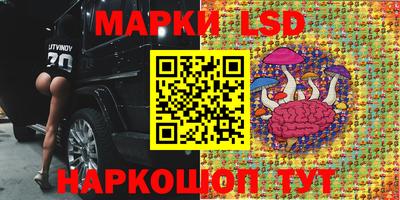ешки Аргун