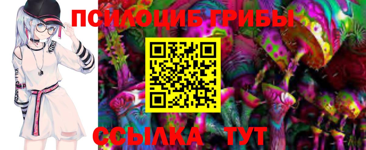 Галлюциногенные грибы MAGIC MUSHROOMS Баксан